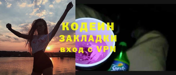 прущие грибы Михайловка