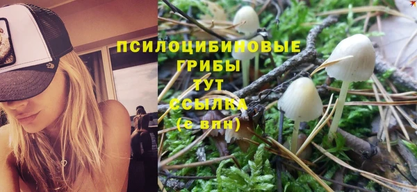 эйфоретик Мегион