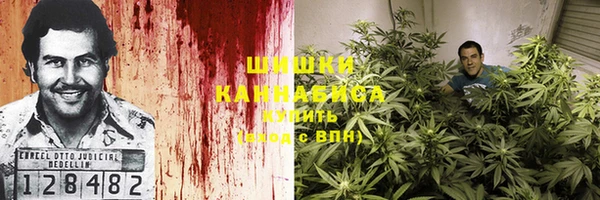 прущие грибы Михайловка
